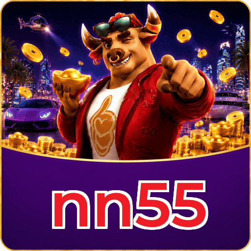 nn55 Instalar Logo 1
